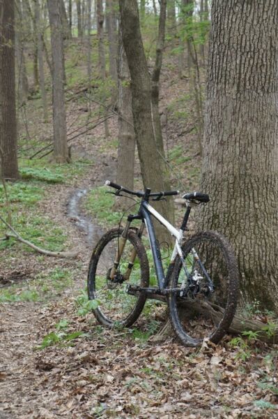 Trek marlin 29er singlespeed