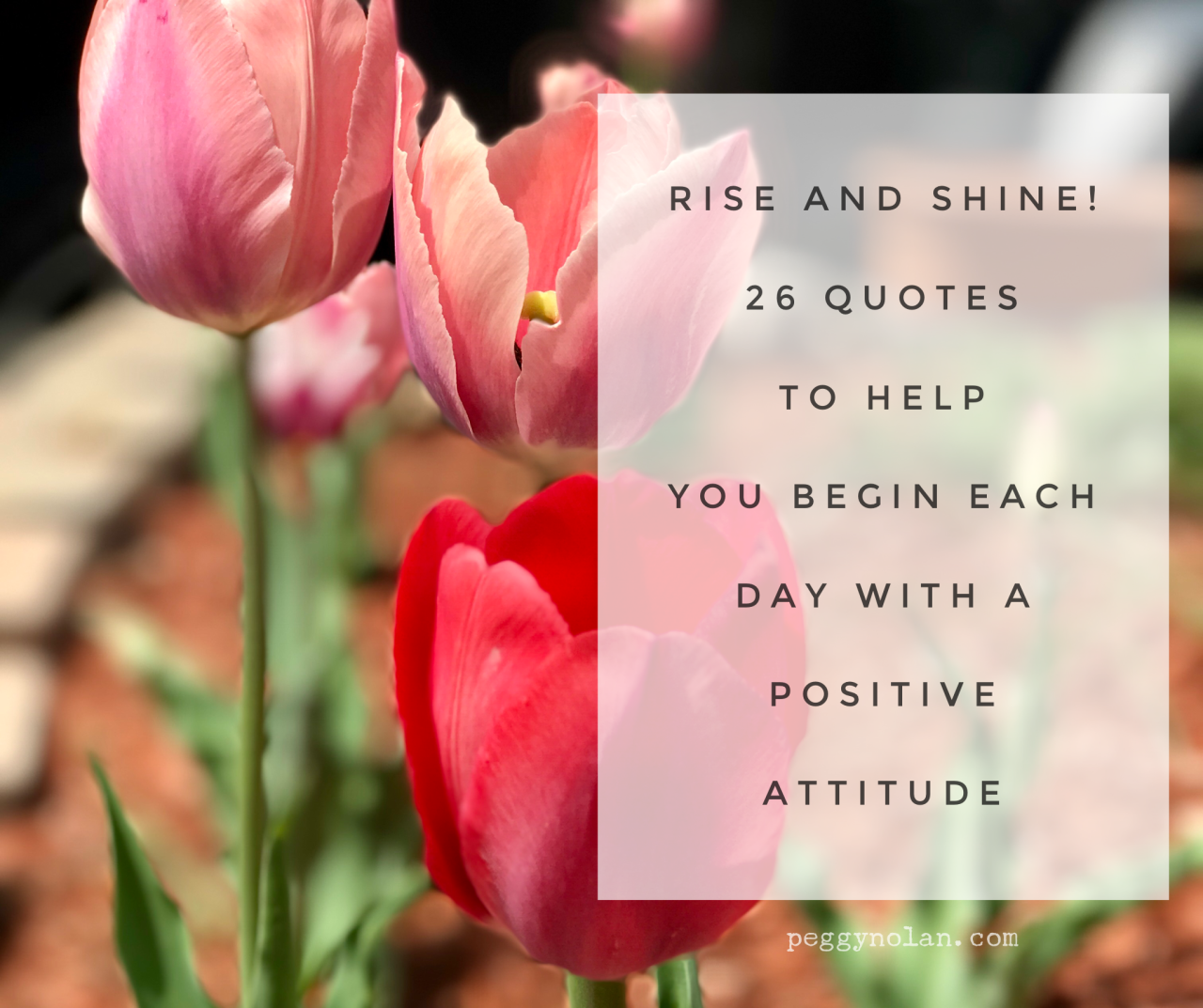 Always Start Your Day With A Positive Attitude 26 Inspiring Quotes To Help You Begin Each Day With A Positive Attitude