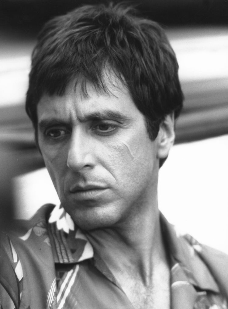Pin on 영화 | Scarface movie, Al pacino, Scarface