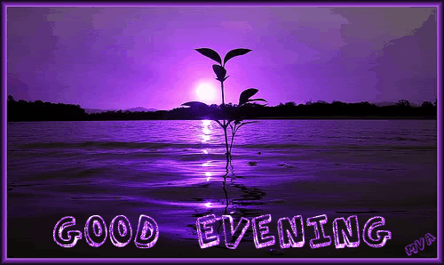 Pin On Good Evening Gif Pin On Good Evening Gif
