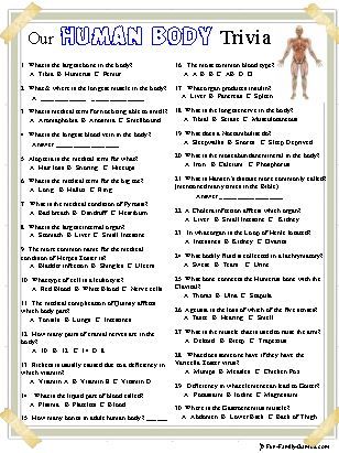 human body quiz for kids human body quiz for kids