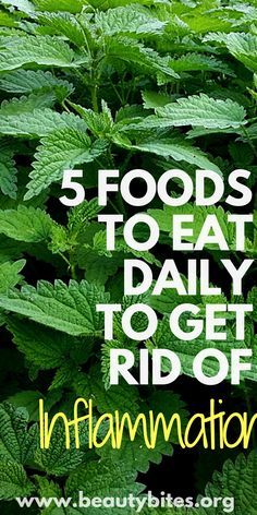 The 5 Best Anti-Inflammatory Diet Foods - Beauty B The 5 Best Anti-Inflammatory Diet Foods - Beauty B