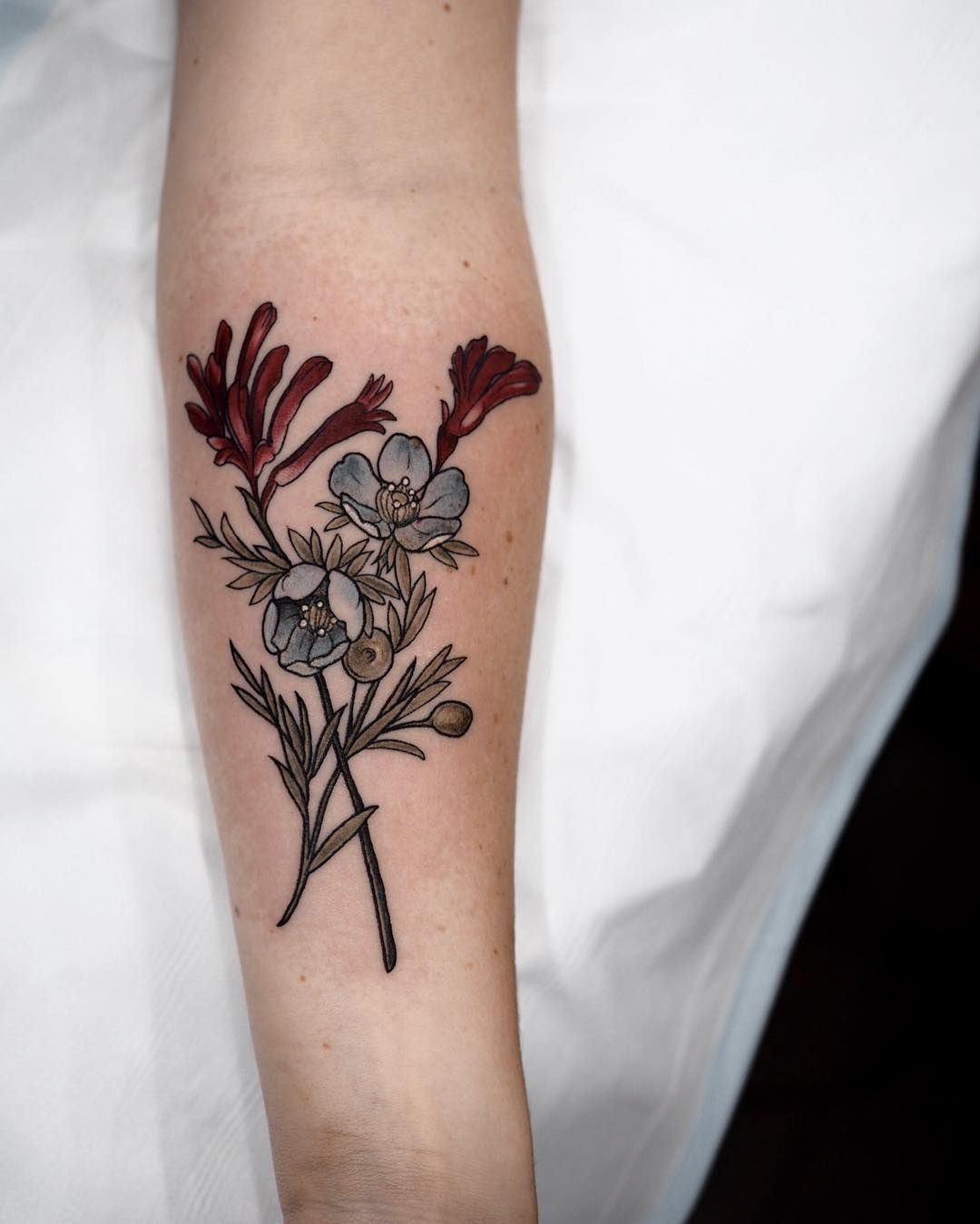 Kangaroo Paw Tattoo Kangaroo Paw Tattoo