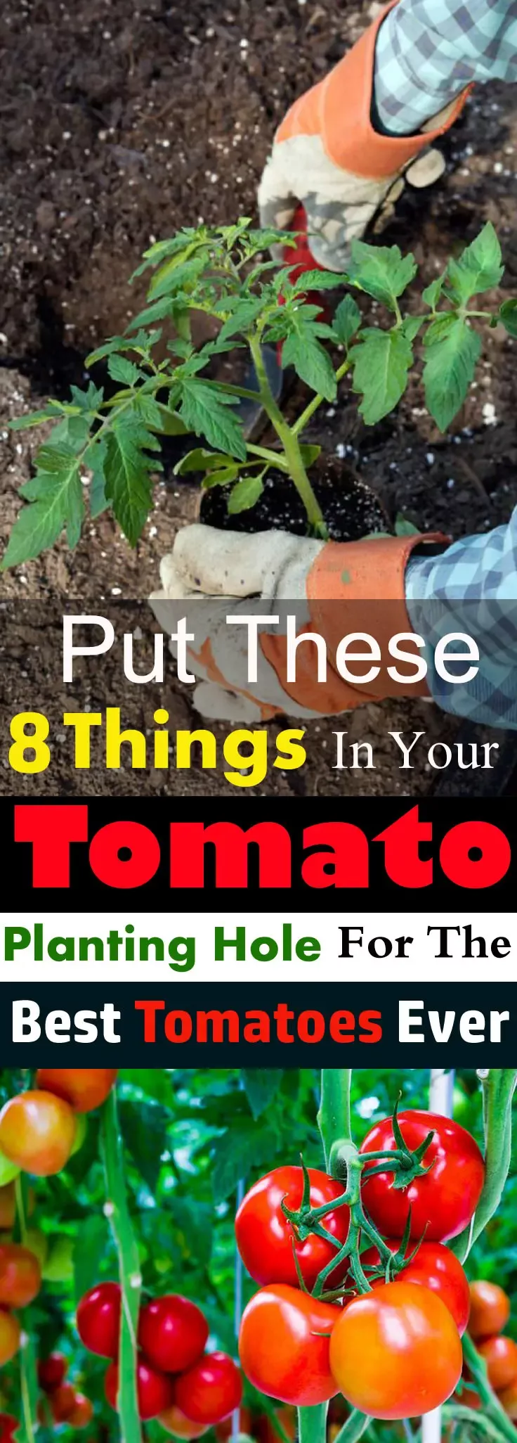 Charming How To Make A Rain Chain Drain Charming How To Make A Rain Chain Drain