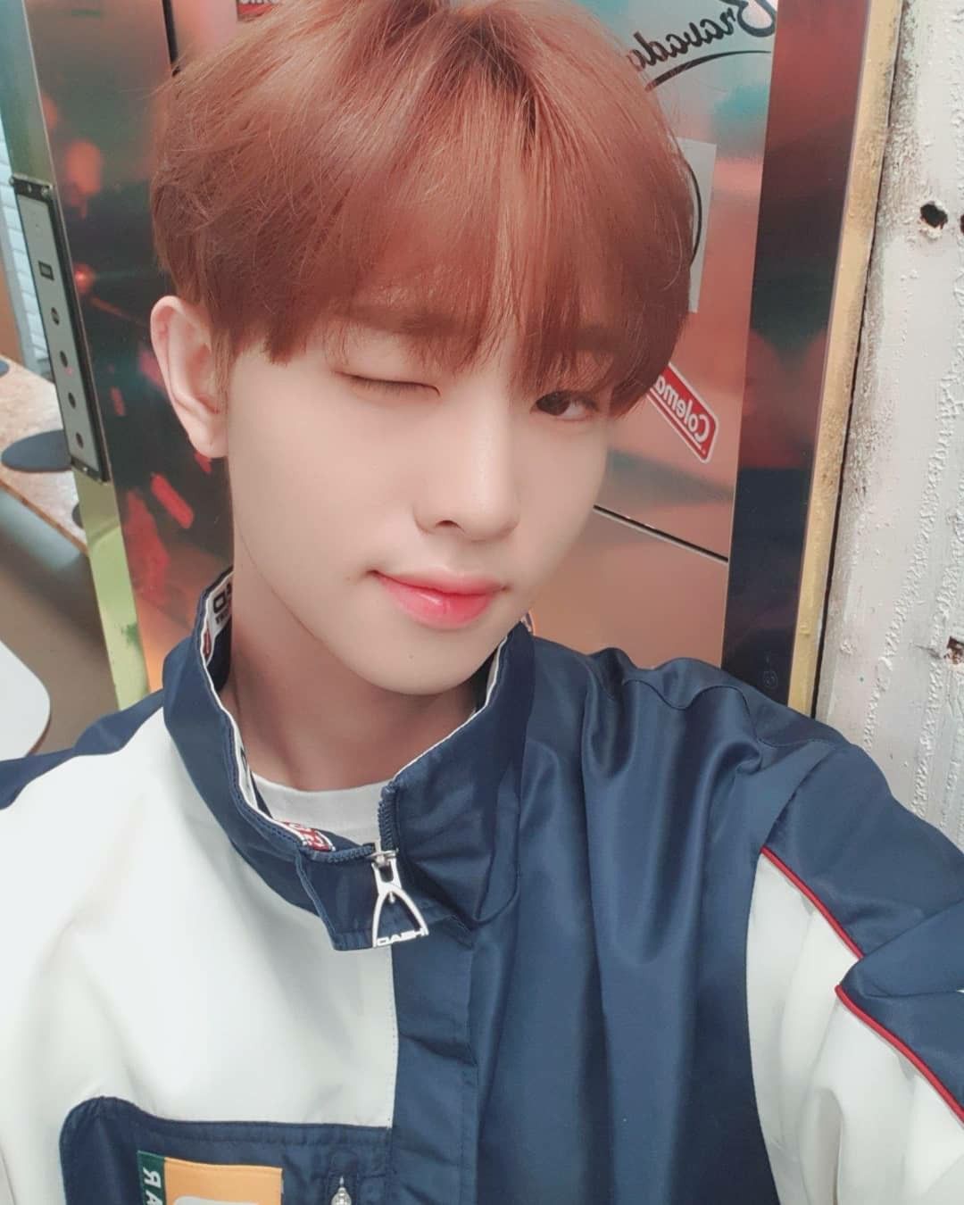 pin di woollim pin di woollim