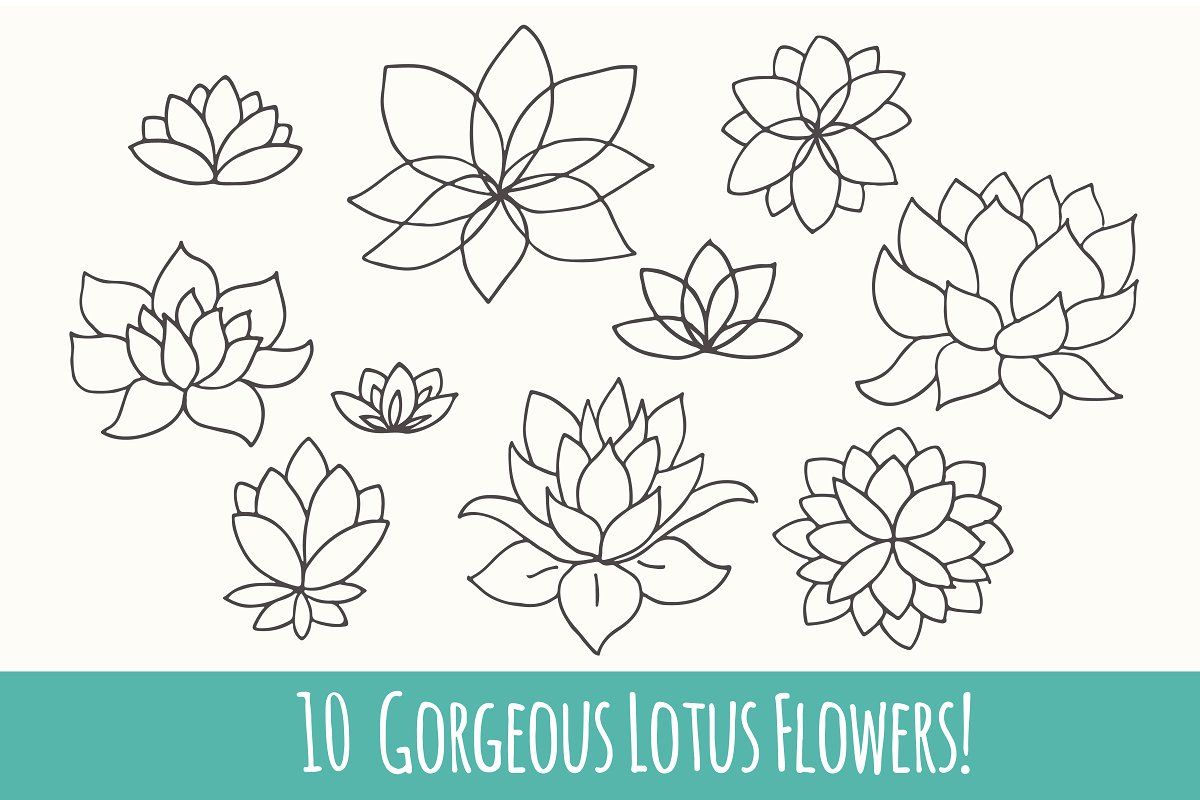 lotus flower pond clipart