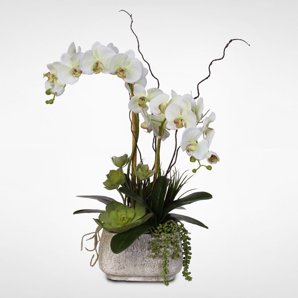 Overstock Com Online Shopping Bedding Furniture Electronics Jewelry Clothing More Silk Orchids Arrangements Orchid Arrangements Silk Orchids