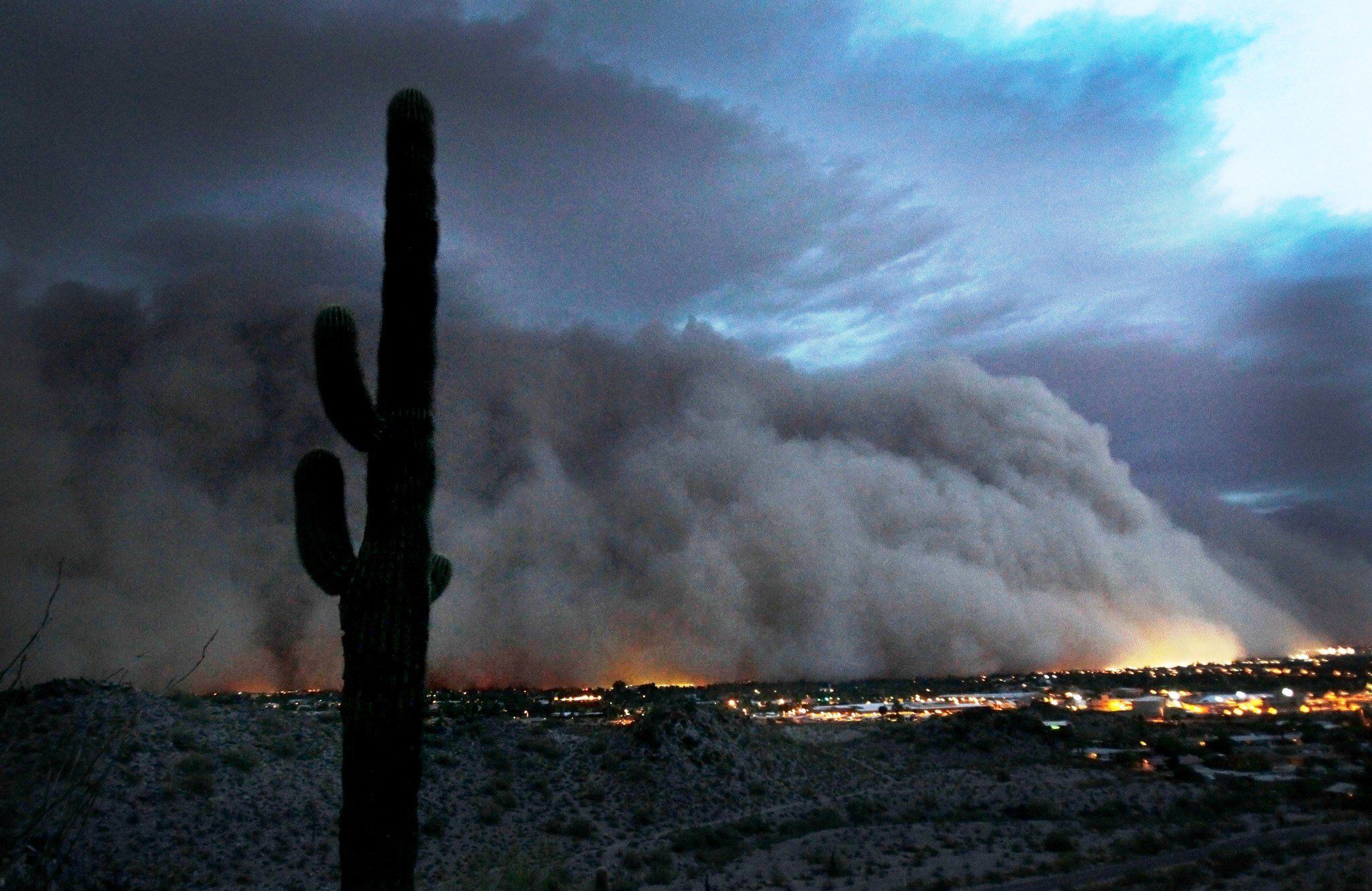Pin By Hankandsue Gordon Side On Winter Weather Cactus Plants Arizona Humor Plants