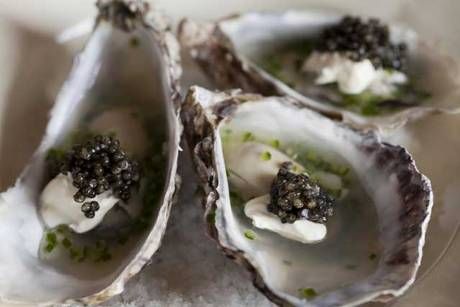 oysters caviar cucumber