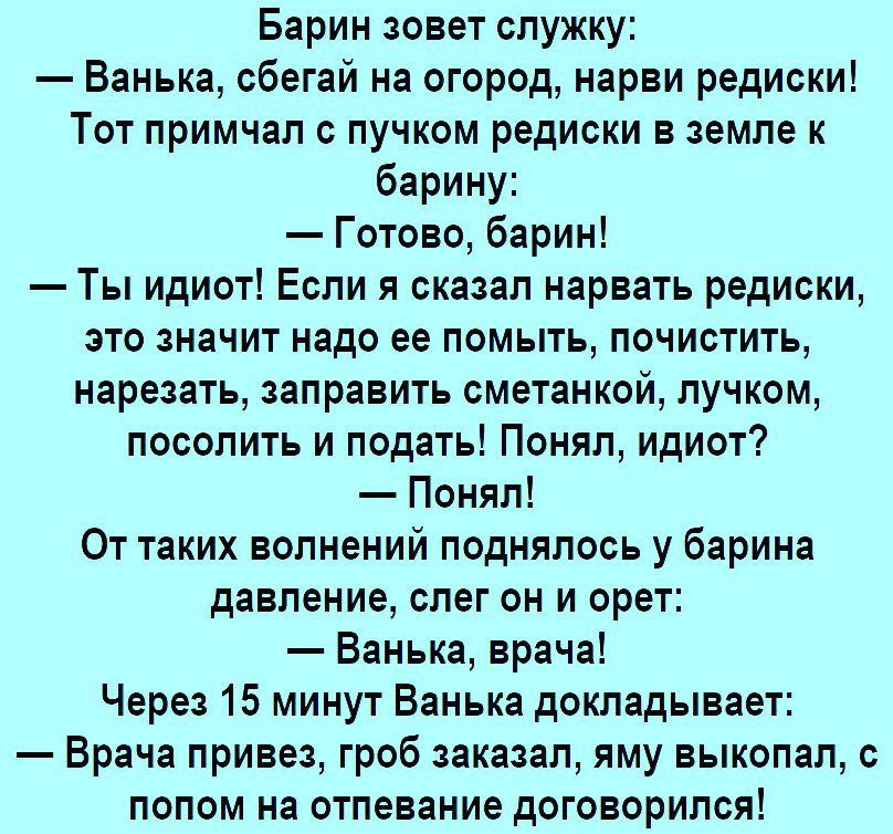 Фото Редиски Прикольные Фото Редиски Прикольные
