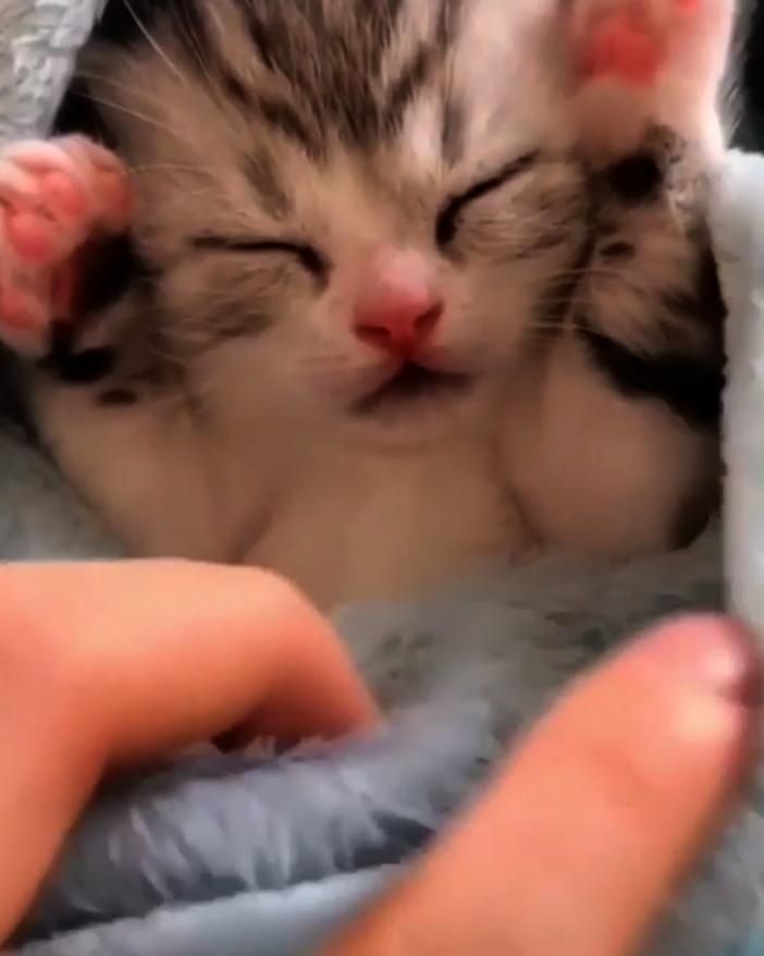 My Sleepy Baby