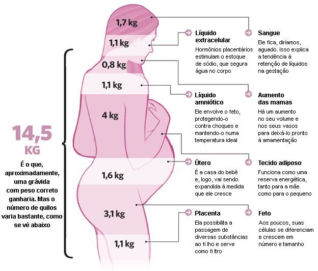 Por el embarazo aumento en de meses peso