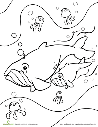 Download Color the Mom and Baby Humpback Whales | Whale crafts ...