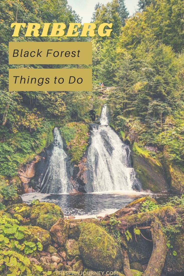 See the best things to do in Triberg, Germany including the famous Triberg Waterfalls. Triberg im Schwarzwald or Triberg in the Black Forest of Germany has many exciting things to do such as eating the original black forest cake, shopping for cuckoo clocks at the house of 1000 clocks, and obviously the Triberg waterfalls to name a few. #triberg #blackforest #germany #waterfalls #tribergwaterfalls #schwarzwald Triberg, German Christmas Markets, Germany Castles, Black Forest, Germany Travel, Things To Do, Cuckoo Clocks, Village, Forest Cake