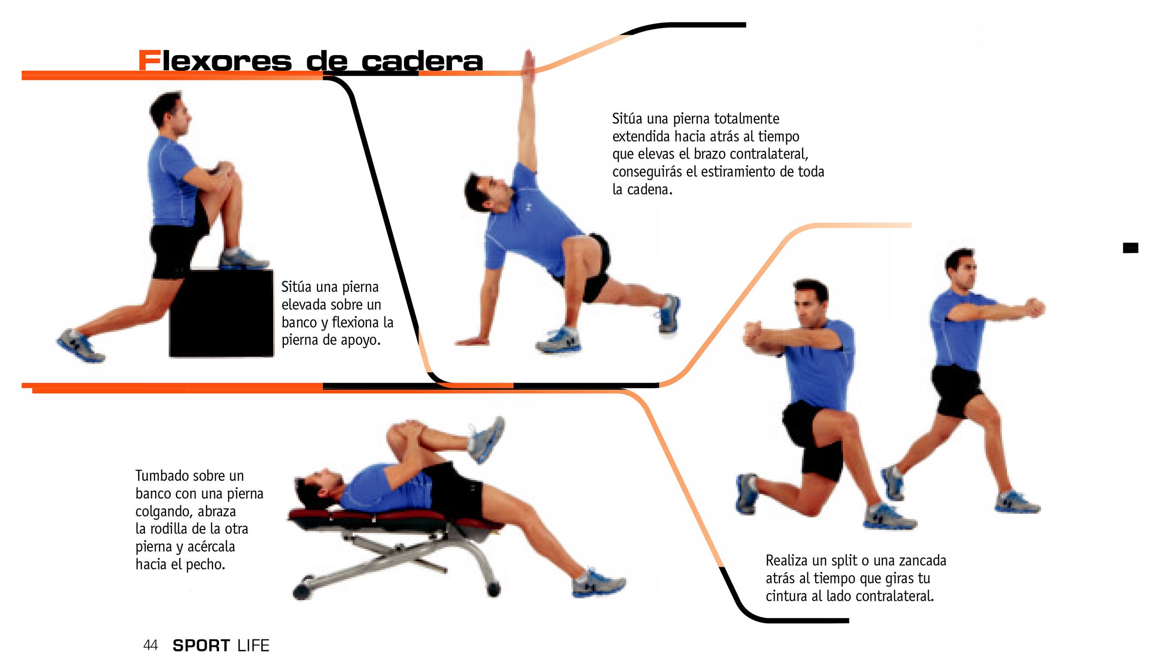 Flexores la musculos pdf de pierna