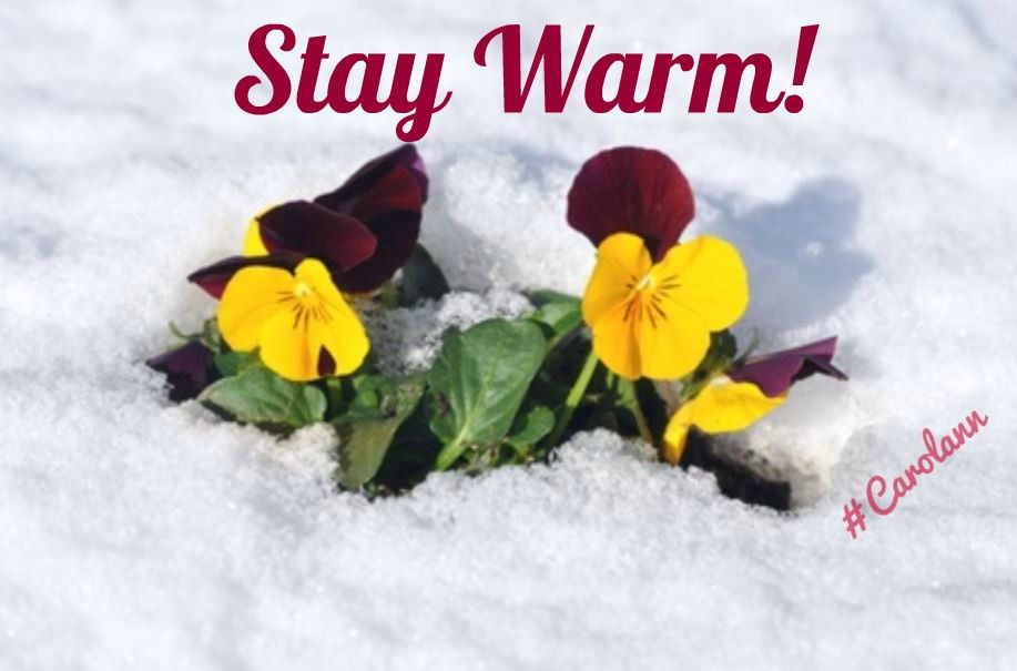 Stay Warm, Quotes, Quotations, Quote, Shut Up Quotes