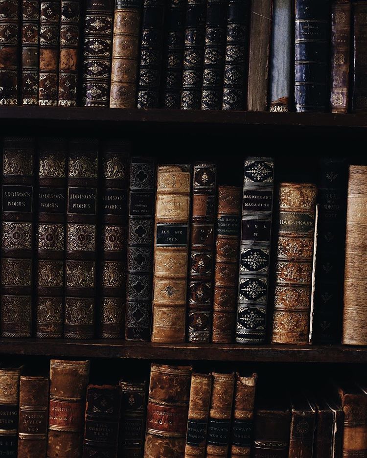The Tomes Of A Scholar Book Aesthetic Witch Aesthetic Dark