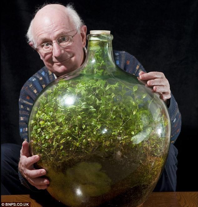 How to Make an Ecosystem in a Bottle