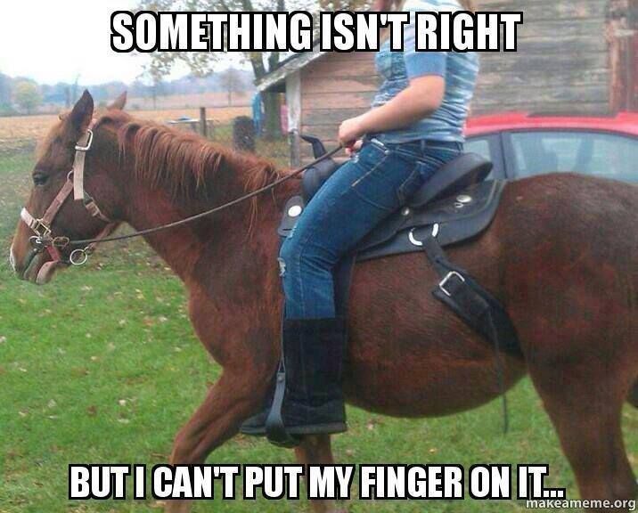 Something Isn Right Funny Horse Memes Funny Horses Horse Jokes