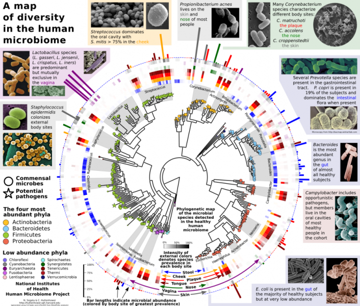 metagenomics