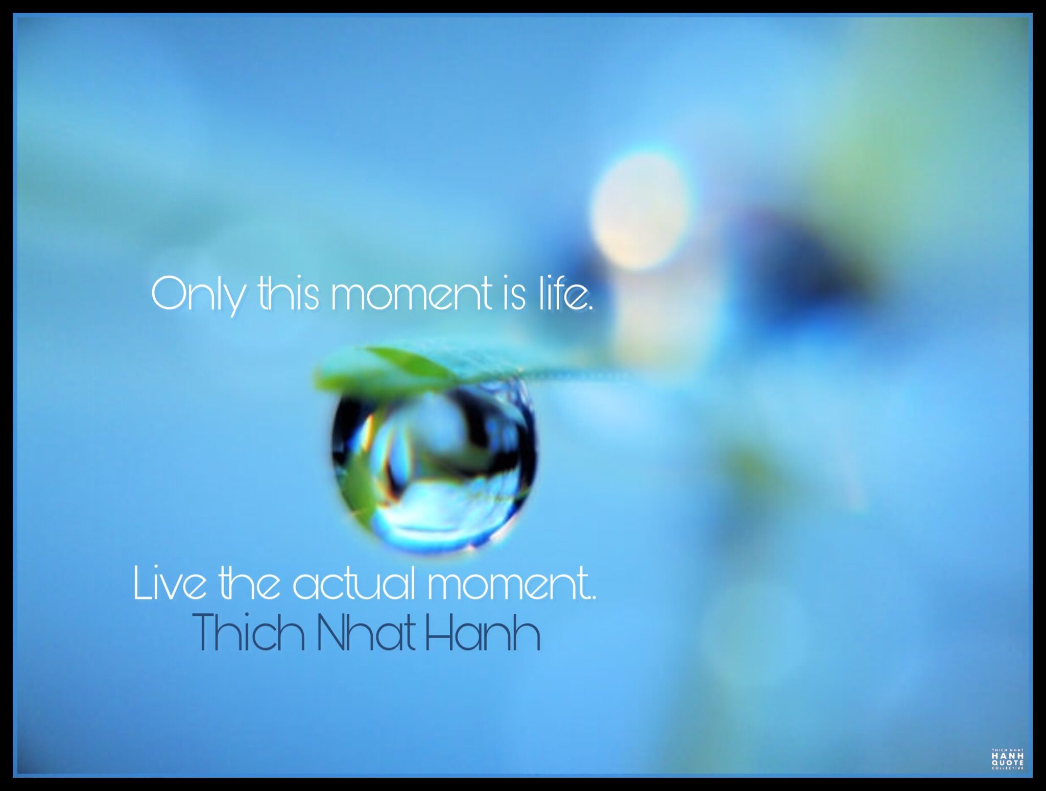 Only this moment is life. Live the actual moment. - Thich Nhat Hanh. @thichnhathanhquotecollective #thay… | Thich nhat hanh, Buddhist quotes, Thich nhat hanh quotes
