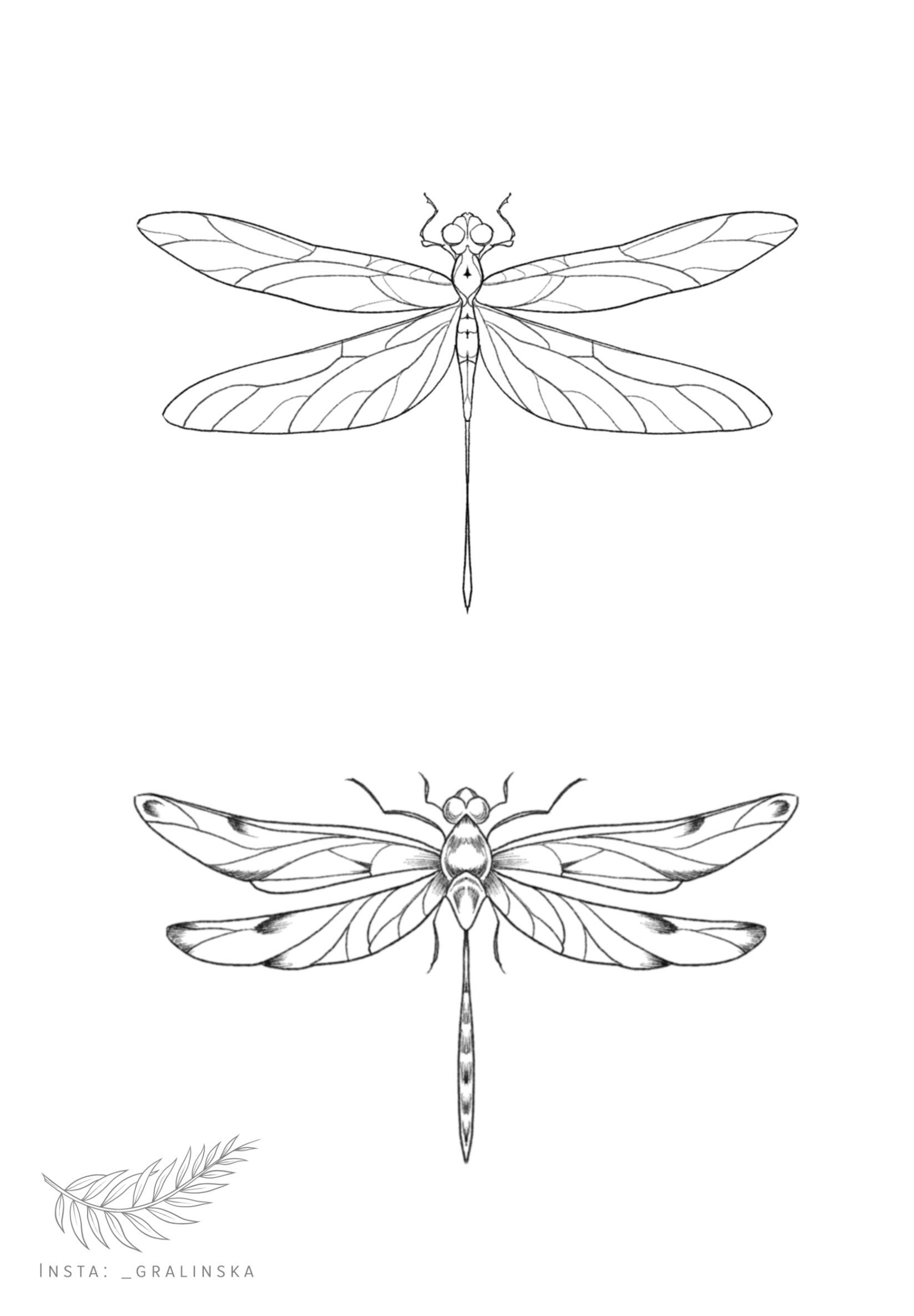 Pin By Gerald Mcguire On Tatuaz Minimalistyczny In 2024 Dragonfly pin-by-gerald-mcguire-on-tatuaz-minimalistyczny-in-2024-dragonfly