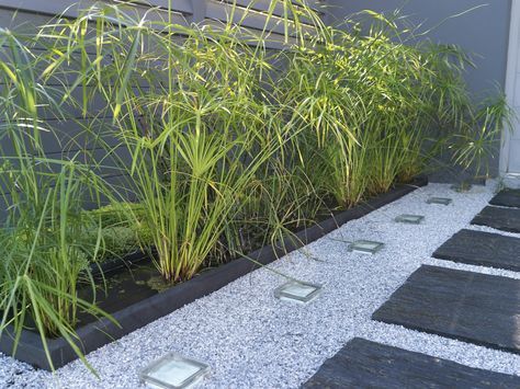Dalle Galet Allee Gravier Pas Japonais Dalle Grise Decoratif Blanc Bordure Metal Chemin Anthracite Decoration Jardin Exterieur Amenagement Jardin Dalle Jardin