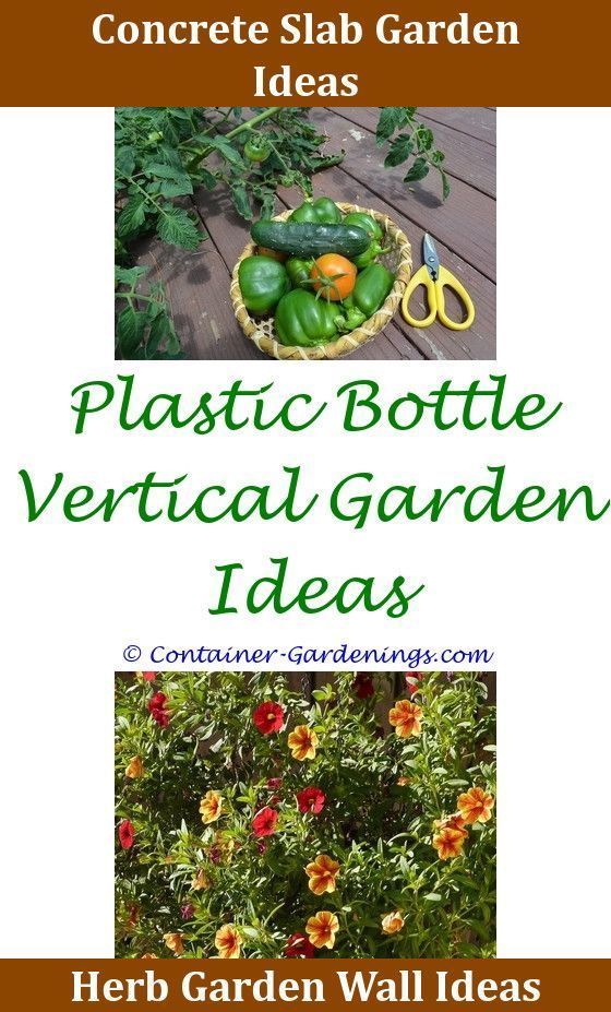 gargen olive garden mandatory tip out diy vintage garden wedding ideas average salary with tip olive garden montreal gardening tipsgargen patio st - Olive Garden Salary gargen olive garden mandatory tip out diy vintage garden wedding ideas average salary with tip olive garden montreal gardening tipsgargen patio st - Olive Garden Salary