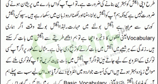 Present Indefinite Tense In Urdu To English PDF Exercise Kinds Of Sentences, Basic English Sentences, English Words, English Course Online, English Language Course, English Writing Skills, English Reading, Grammar Book Pdf, Tenses Exercises