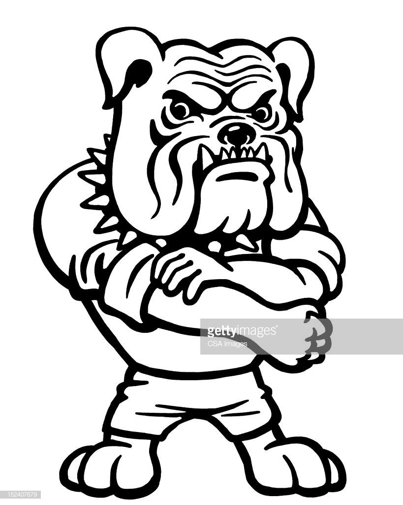 Bulldog Rolling Up Sleeve Bulldog Drawing Bulldog Cartoon