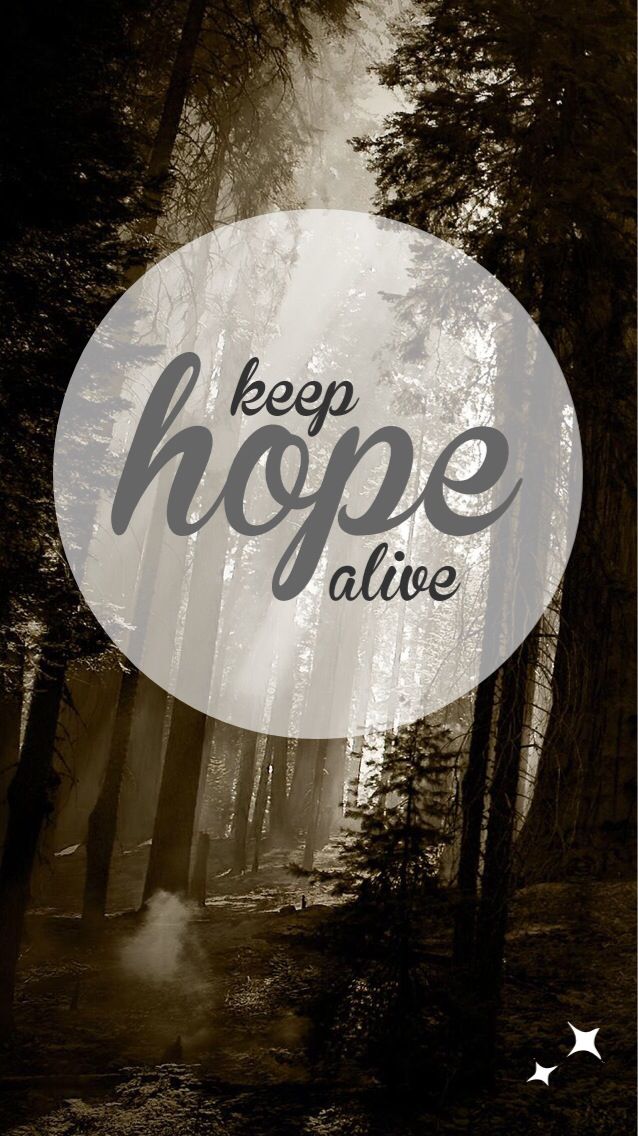 The Words Keep Hope Alive Are Above A Forest The Words Keep Hope Alive Are Above A Forest