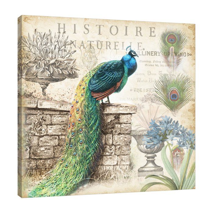 'Vintage Peacock II' Graphic Art Print on Wrapped Canvas Peacock Canvas, Peacock Wall Art, Fish Graphic, Graphic Art Print, Canvas Giclee, Canvas Art, Canvas Prints, Canvas Size, Peacock Wallpaper