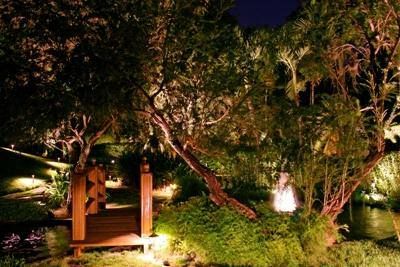 10 Landscape Lighting Richmond Ideas Landscape Lighting Outdoor Lighting Landscape