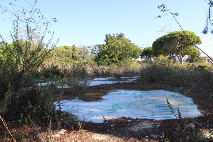lugares en un estado de abandono en la Bahía de Cádiz