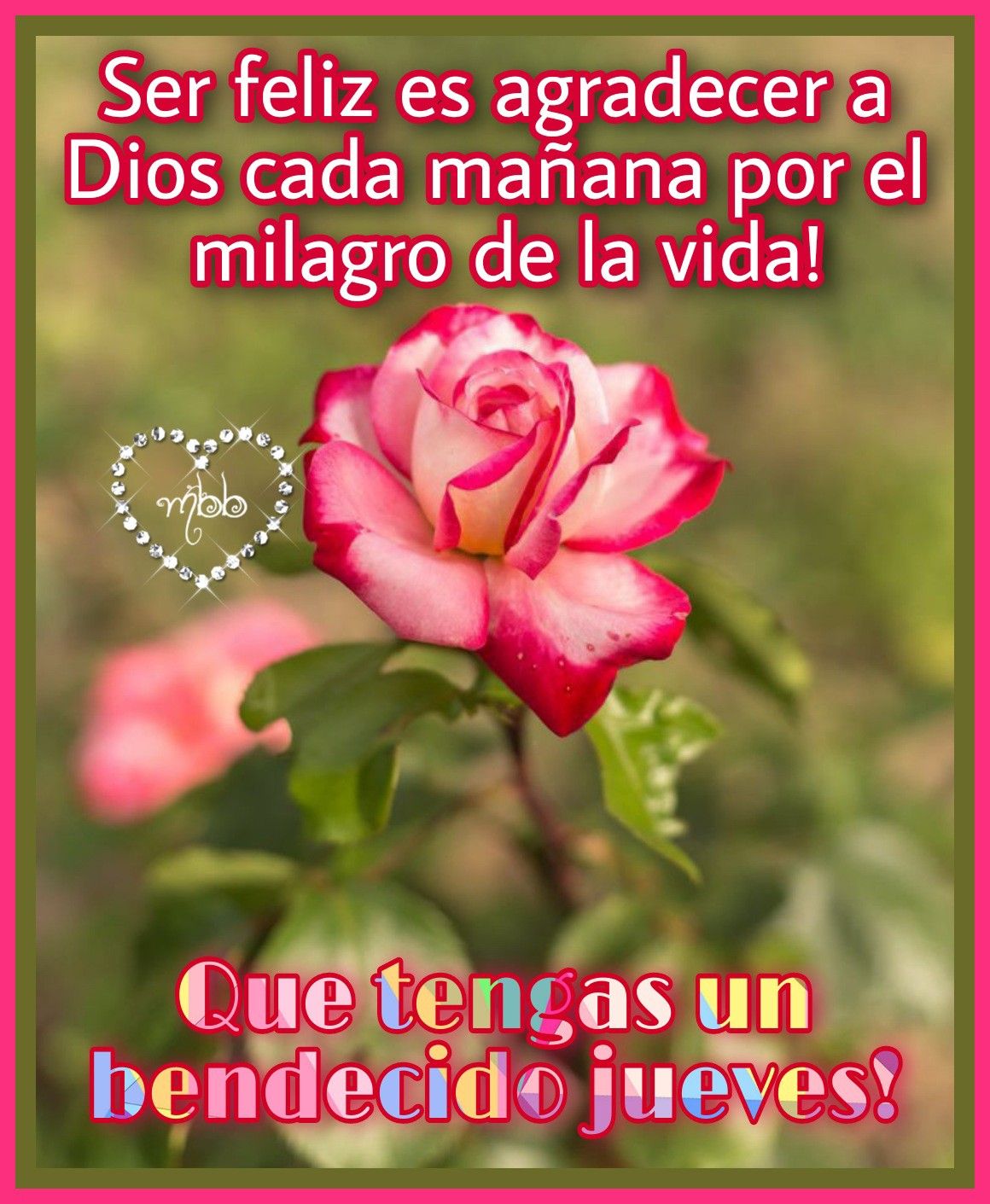 Ser feliz es agradecer a Dios cada mañana por el milagro de la vida! 🙏💐