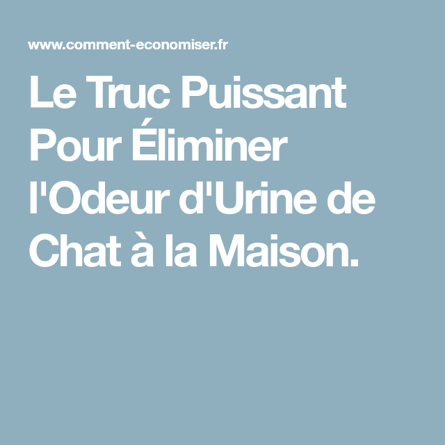 Sept manières d’empêcher son chat d’uriner partout | Mon ...