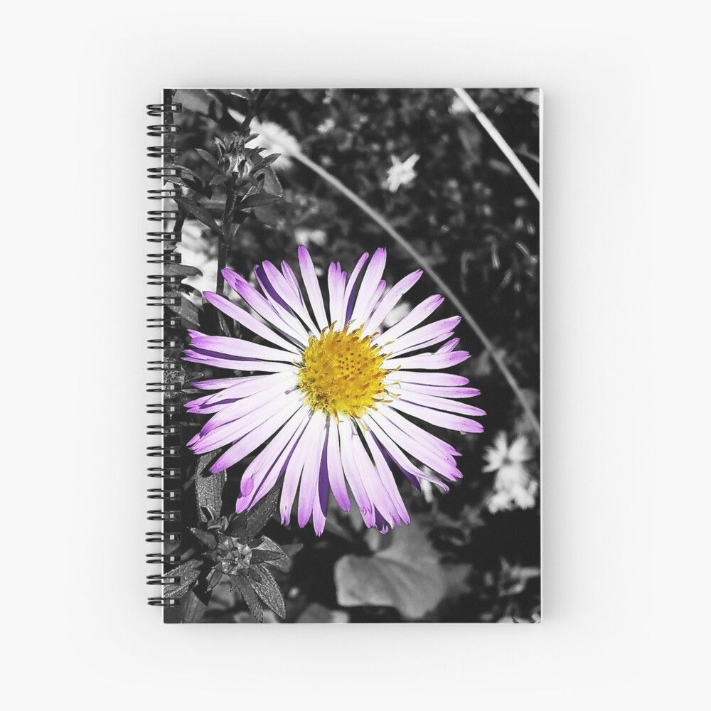 Get my art printed on awesome products. Support me at Redbubble #RBandME: https://www.redbubble.com/i/notebook/Aster-on-black-and-white-background-by-KaisPrints/86892737.WX3NH?asc=u Black And White Background, Notebook Design, Aster, Spiral Notebook, Paper Stock, Top Artists, Graphing, Sell Your Art, Art Prints