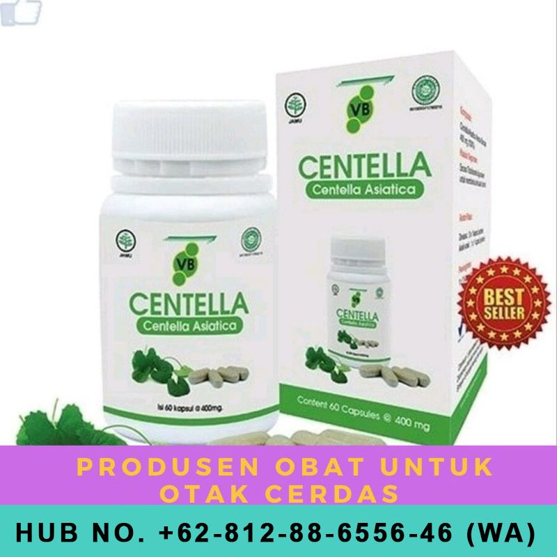Manfaat Folavit 400 Mg Folavit 1000 Mg Folavit Untuk Pria Folavit Untuk Suami Folavit Dan Santa E Pria Tubuh Suami