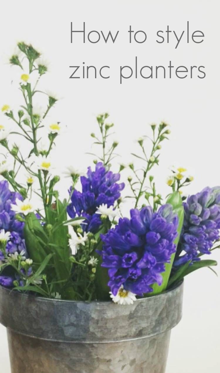 How To Style Zince Planters A Simple Guide For Garden And Interior how-to-style-zince-planters-a-simple-guide-for-garden-and-interior
