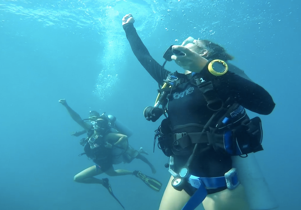 United Kingdom - Global Vision International | Marine conservation