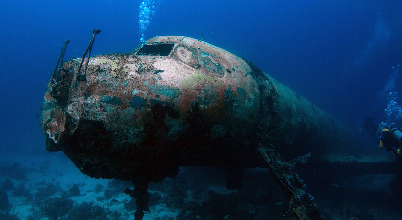 From Ship Wrecks To Plane Wrecks Scuba Diving In Aruba Is A Must Do From Ship Wrecks To Plane Wrecks Scuba Diving In Aruba Is A Must Do
