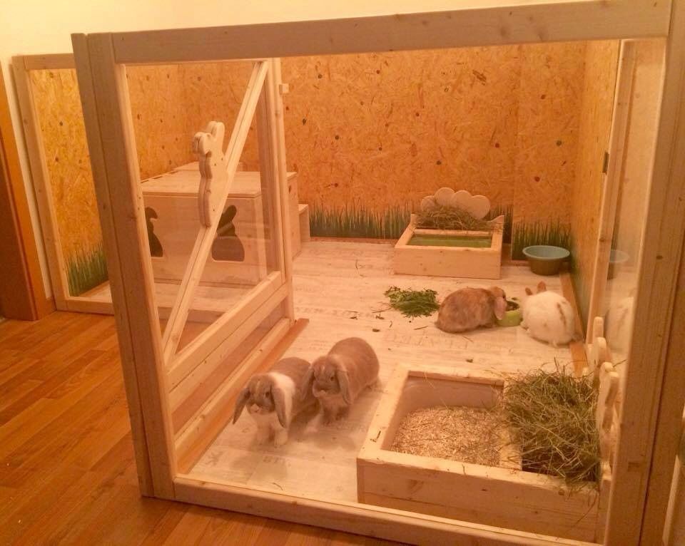 Bun Heaven Rabbit Cages Indoor Rabbit Bunny Cages bun-heaven-rabbit-cages-indoor-rabbit-bunny-cages