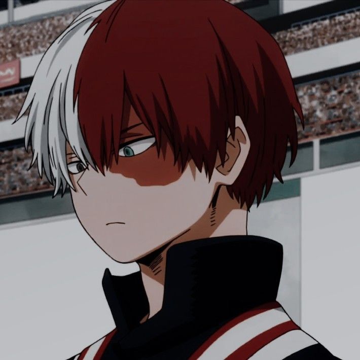 Shoto Todoroki Cute Aesthetic