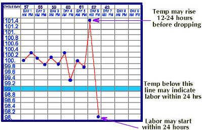 pin on crockpot whelping temperature chart