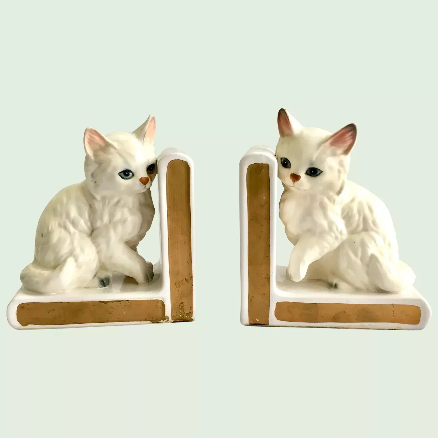 Astonishing Beautiful Cats Persian Astonishing Beautiful Cats Persian