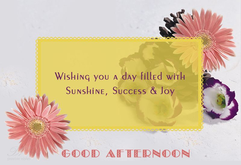 good afternoon good afternoon wishes images whatsapp free images