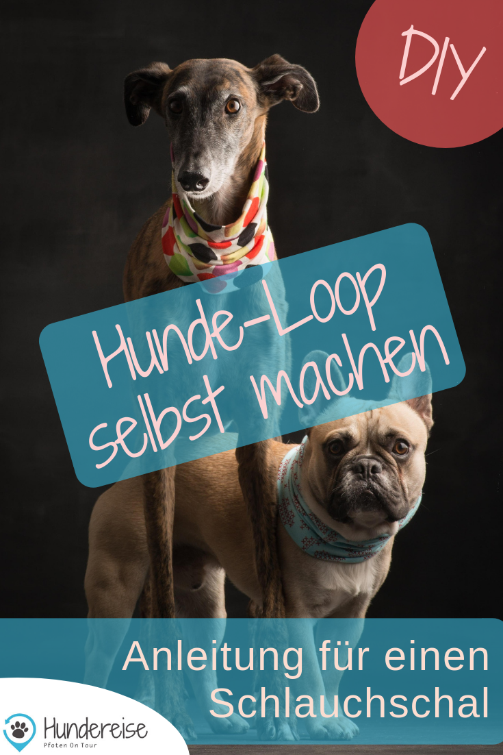 Weihnachts DIY Loop für den Hund Hunde, Hunde spielzeug selber