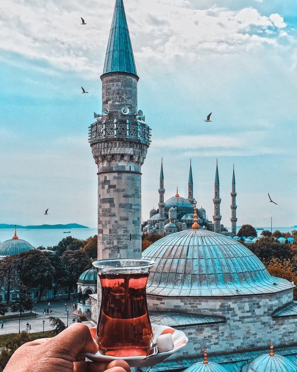 Hagia Sophia Museum متحف ايا صوفيا السلطان احمد اسطنبول Istanbul Youtube