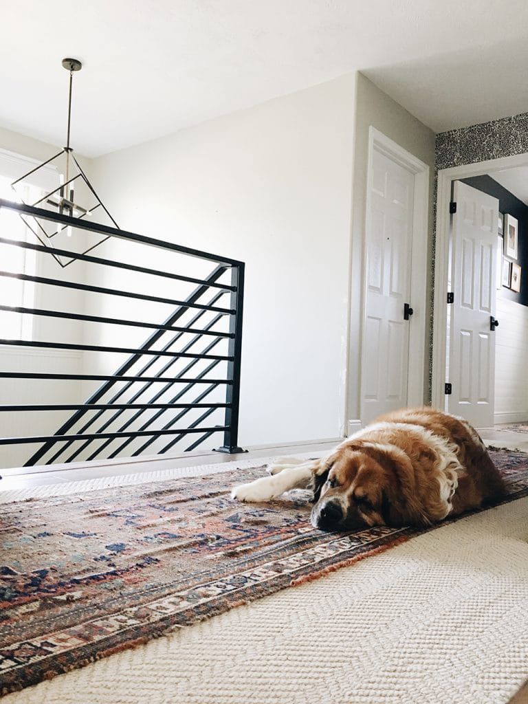 The fabrication and installation of the stair railing only cost us $1500 and it changed our whole house vibe! Indoor Stair Railing, Cable Stair Railing, Exterior Stair Railing, Black Stair Railing, Modern Railing, Stair Railing Design, Staircase Railings, Modern Stairs, Railing Ideas