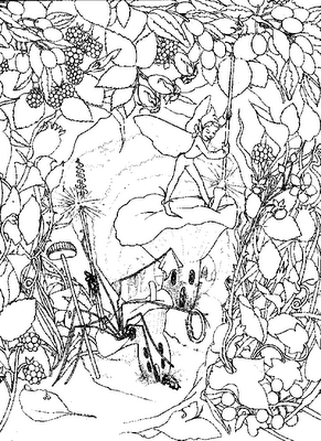 pics for coloring pages detailed fairies fairy on very detailed coloring pages id=30789